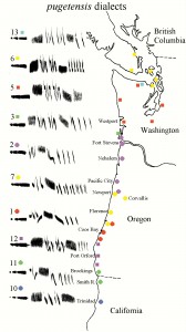 Dialectos de Zonotrichia leucophrys pugetensis en la costa oeste de EE.UU.